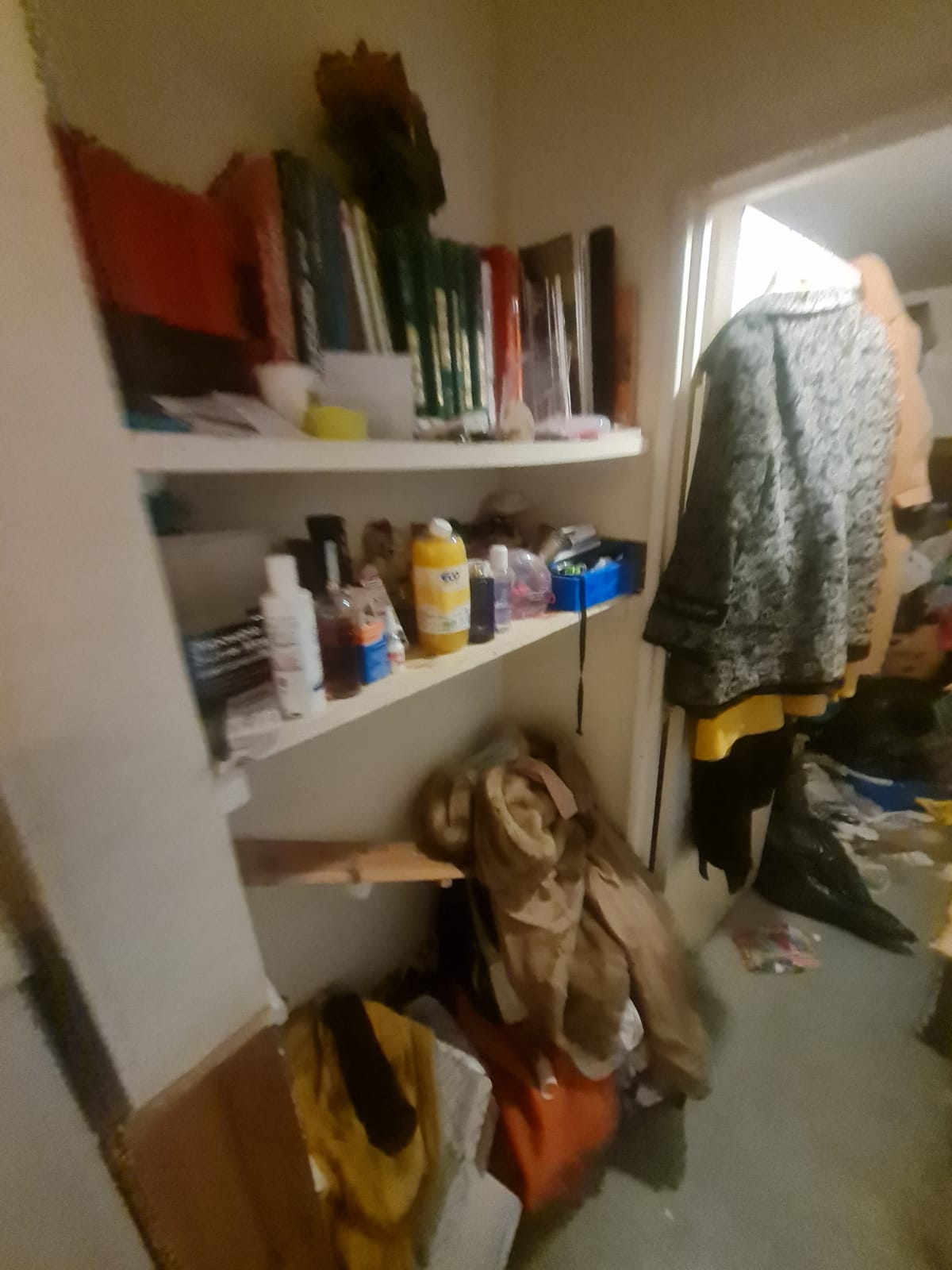 IMG 20241016 WA0056